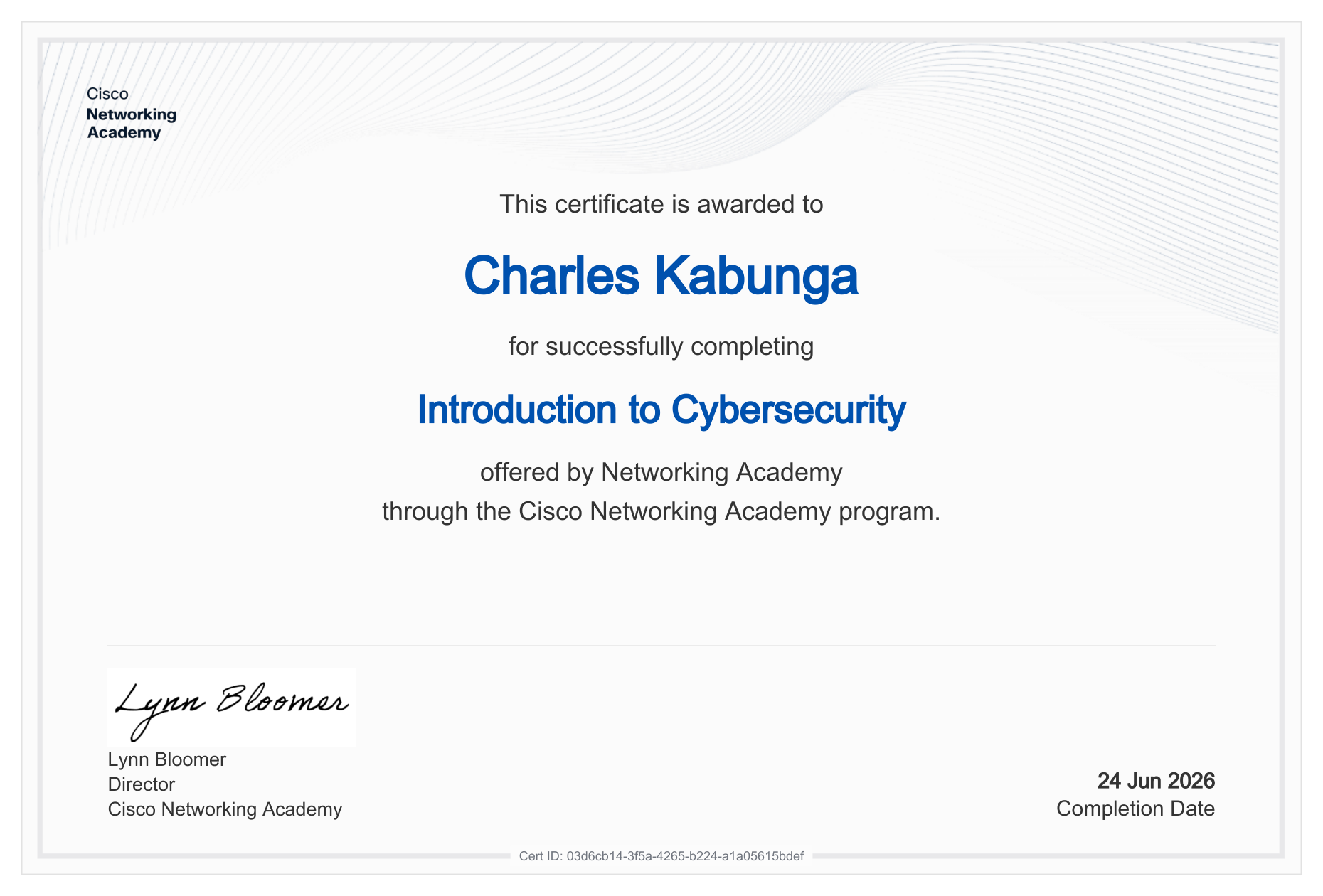 Introduction to Cybersecurity certificate